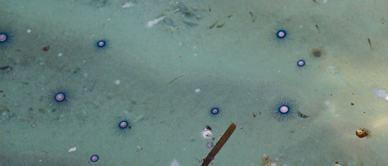 说走就走的三亚行,一场说走就走的三亚之旅