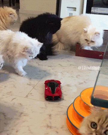 中国乒乓球输得比较惨的一次,中国乒乓球比赛把别人打哭