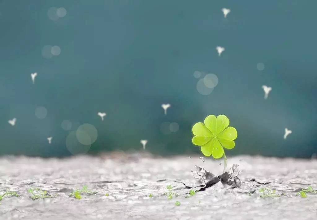 和孩子一起了解自然,与孩子一起的旅行