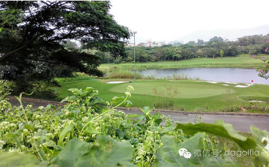 团购高尔夫练习场,高尔夫球优惠活动