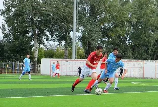 我眼中的足球世界,我眼中的足球世界杯