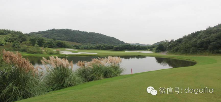 团购高尔夫练习场,高尔夫球优惠活动