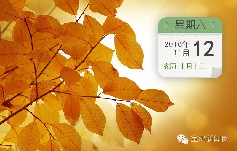 11月12日新闻速递与报纸摘要,11月12日新闻