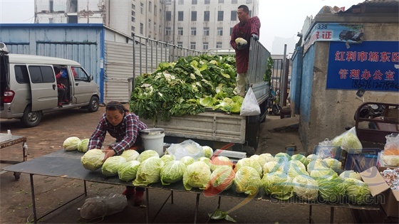 冬储菜批发价,白菜价格大葱价格