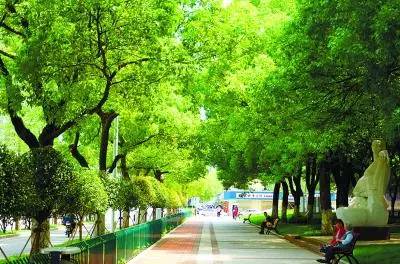 每日“最”新闻：最壕公司过生日，群发股票“拉痛恨”|长沙网