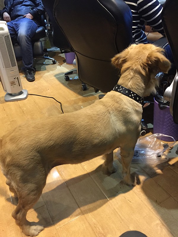 平凡少年与城市英雄：贵州MON战队的四年一梦