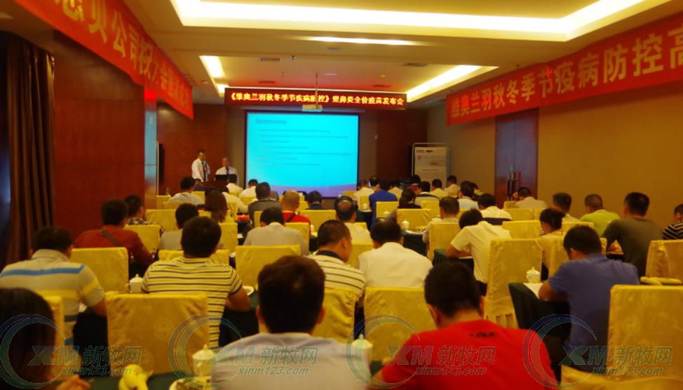 鸡鼻炎怎么预防,烦人的鼻炎怎么调理