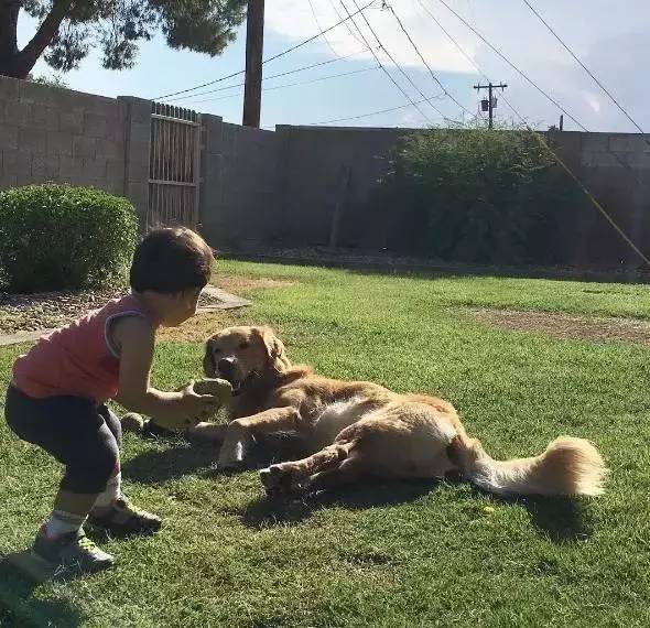 又软又舒服的可爱抱枕,让你幸福感爆棚的可爱抱枕