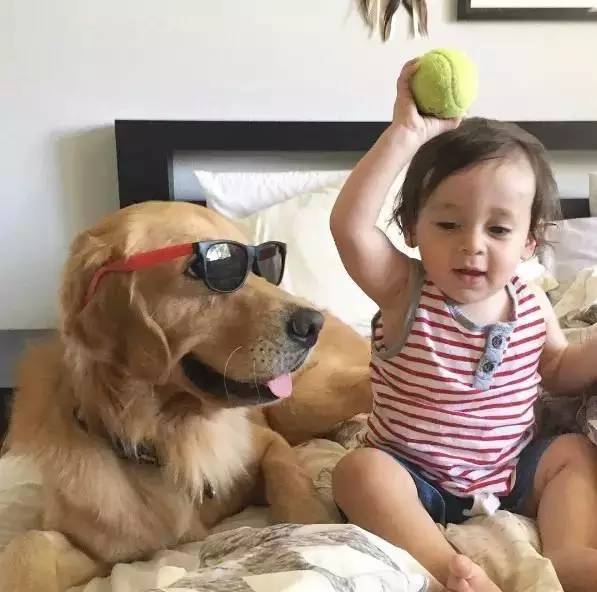 又软又舒服的可爱抱枕,让你幸福感爆棚的可爱抱枕