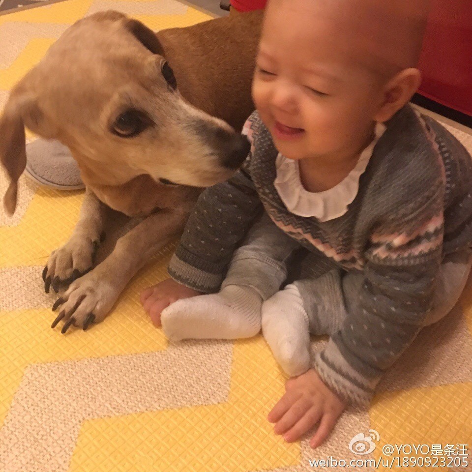 大咖记｜高情商梓琳怎么处理家庭“内斗”：YoYo和胖妹开始争宠啦