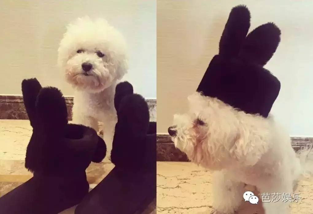 袁姗姗穿过膝长靴街拍,袁姗姗滑雪穿的浅粉色羽绒服