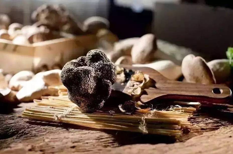 松露口味是什么特点,松露的味道为什么会让人终身难忘
