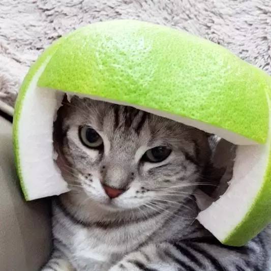 最简单的皮衣保养方法,皮衣处理