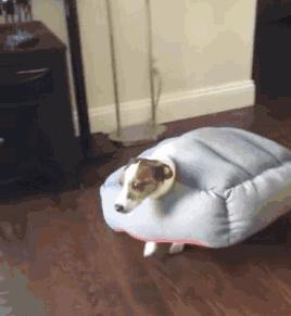 辽宁明天气温下降温馨提示,辽宁将降温至零下25度