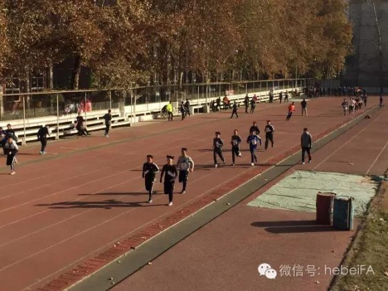 2023河北裁判员培训报名,河北省排球裁判培训班