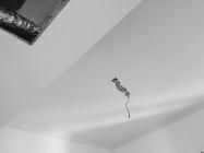 装修公司装修错误怎么办,这些装修致命错误不能犯