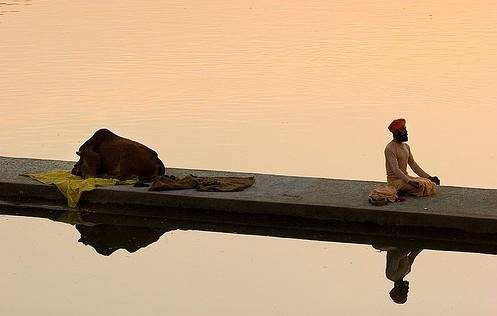 每日养生｜如何解决便秘