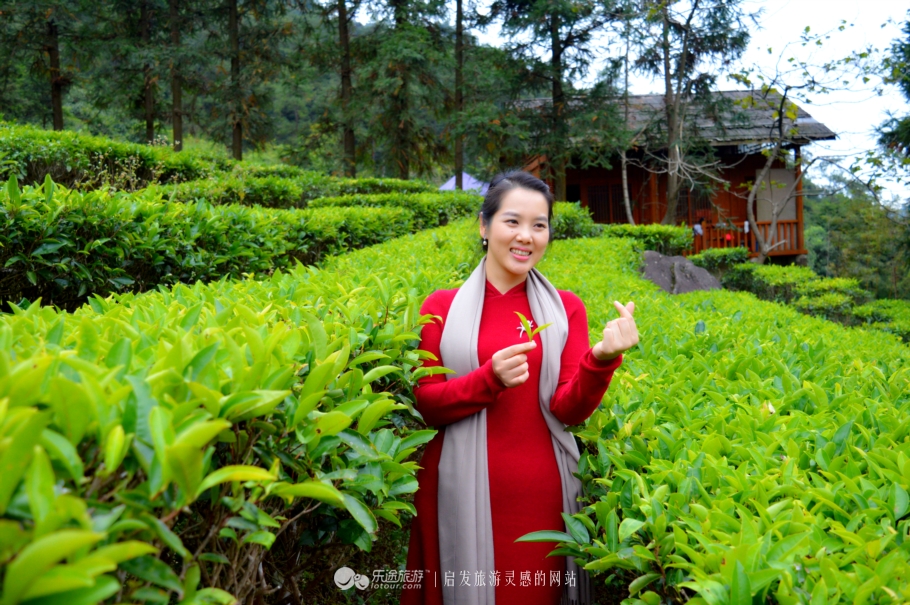 广西贺州姑婆山之景,贺州姑婆山云中仙境