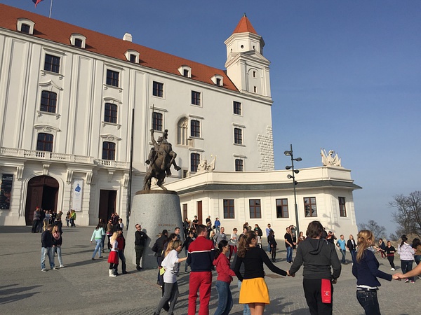 豆瓣日记momo,豆瓣日记茉莉