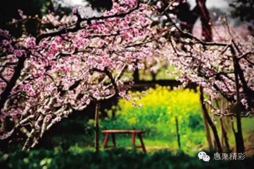 震撼，26个英文字母里竟然隐藏着惠山文体元素！