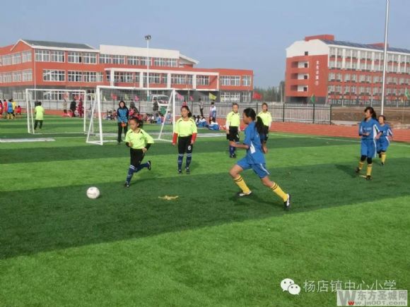 杨集中心小学表彰大会,刘店镇中心小学表彰大会