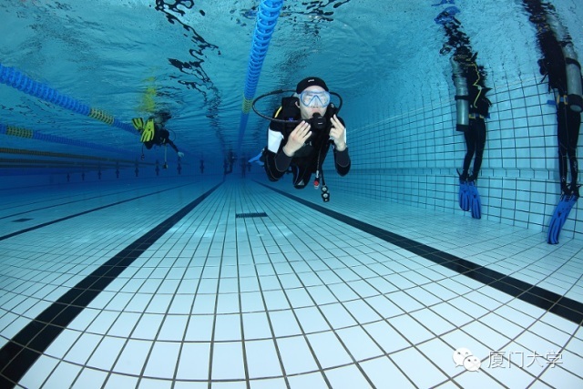 体育微型课游泳,二年级体育公开课攀岩