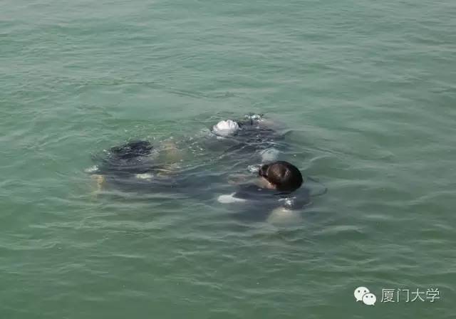 体育微型课游泳,二年级体育公开课攀岩