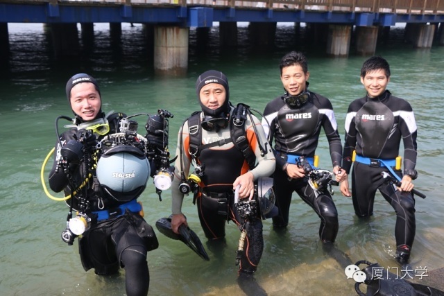 体育微型课游泳,二年级体育公开课攀岩