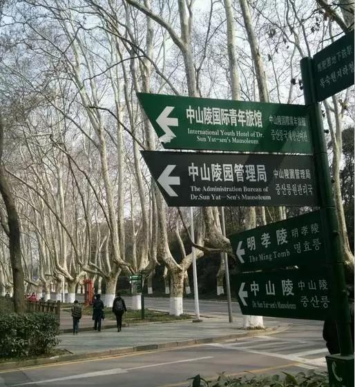 南京周边旅游景点及美食,南京每个景点对应的美食