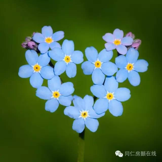 射频消融手术治房颤,房颤的射频消融术指南解读