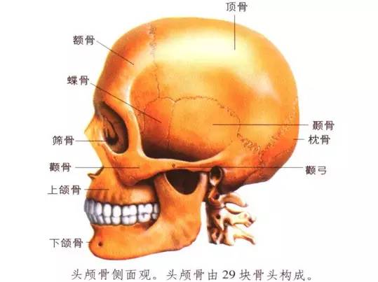 maya影视制作教材,maya影视动画