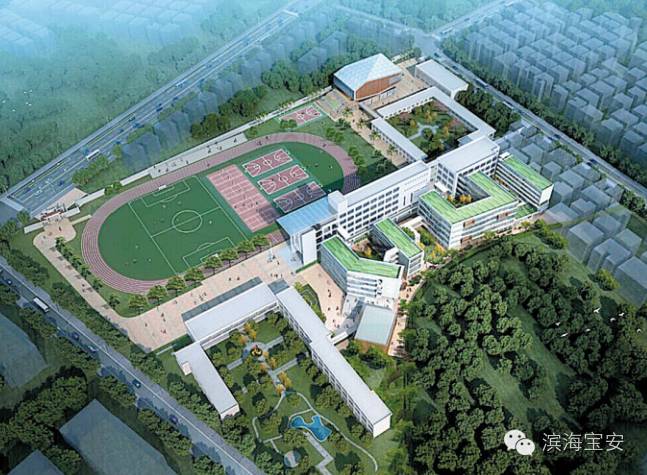 深圳沙井历史文化遗址,沙井文物发掘