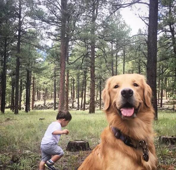 又软又舒服的可爱抱枕,让你幸福感爆棚的可爱抱枕