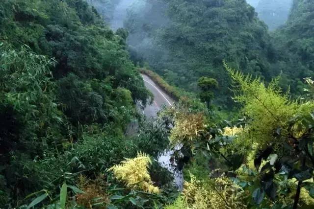 南宁市内空气好的地方,南宁周边郊外哪里好玩