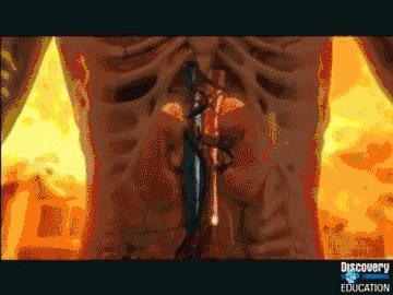 为什么哭的时候喉咙紧,为什么哭的时候喉咙很累