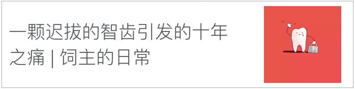 冬季手部干燥粗糙裂口,冬季手干燥粗糙用什么护手霜