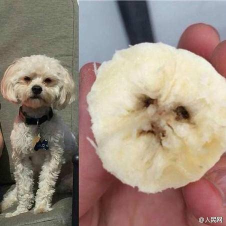 高校食堂砂锅菜品,学校食堂砂锅菜品图片大全
