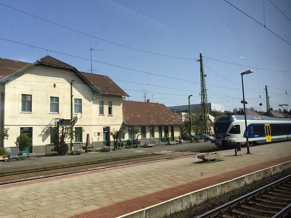 豆瓣日记momo,豆瓣日记茉莉