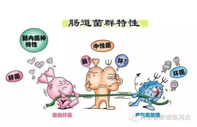 这几种病不能治也不用治,这几种病别再瞎花钱治了