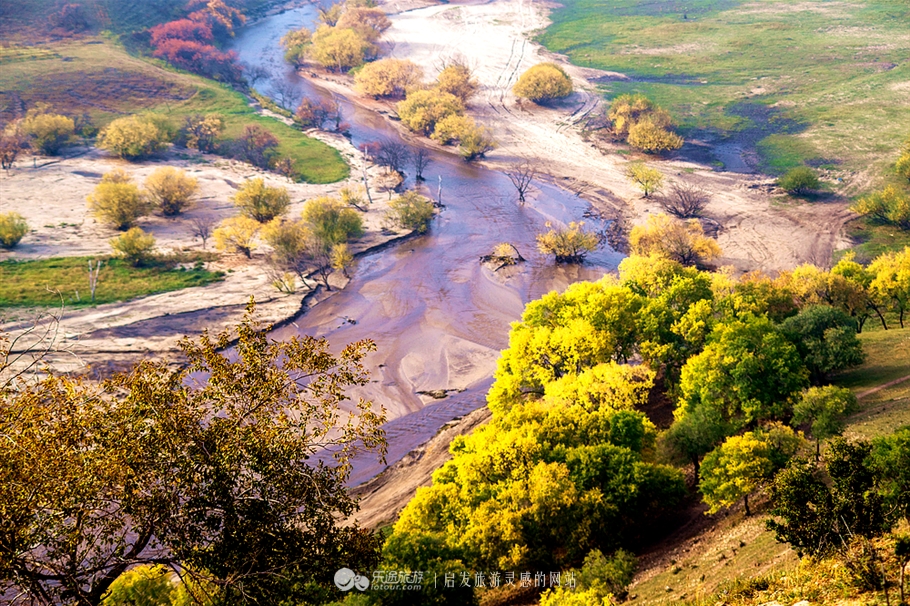 秋季到塞罕坝怎么样,秋天的童话坝上金秋