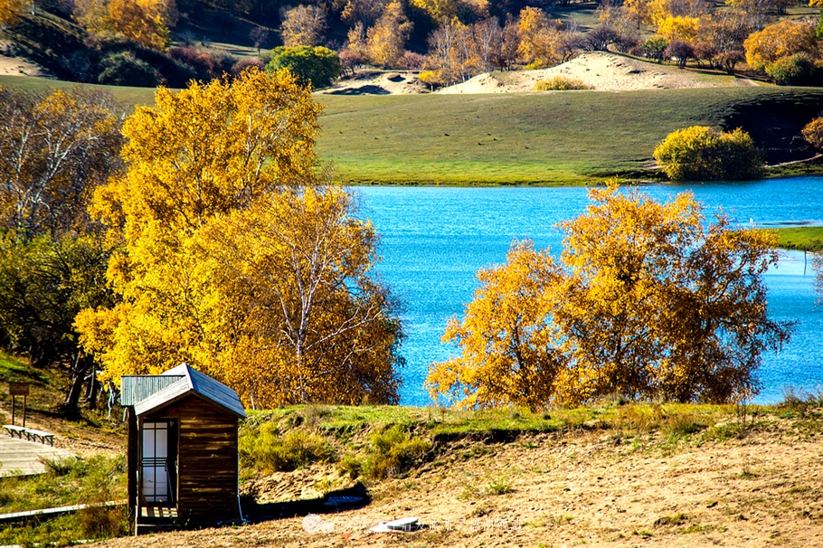 秋季到塞罕坝怎么样,秋天的童话坝上金秋