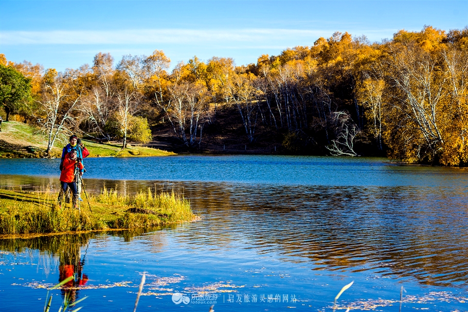 秋季到塞罕坝怎么样,秋天的童话坝上金秋
