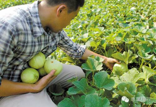 震撼，26个英文字母里竟然隐藏着惠山文体元素！