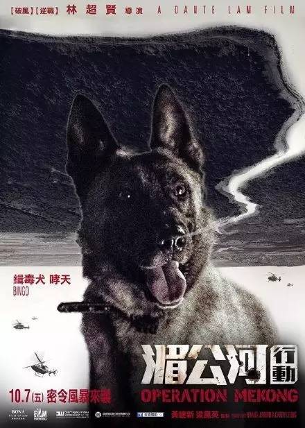 湄公河行动最劲爆的部分,湄公河行动介绍视频