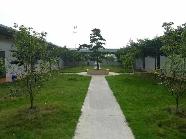 一个普通农庄的面积是多少,一间农庄要投资多少钱