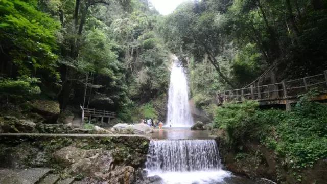 七星伴月在哪,七星伴月在哪里