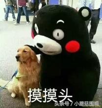 海淘奶粉为何更便宜,哪国奶粉最好