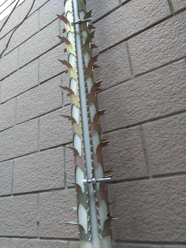 防止老鼠爬电线管的方法,老鼠爱咬网线有什么解决办法