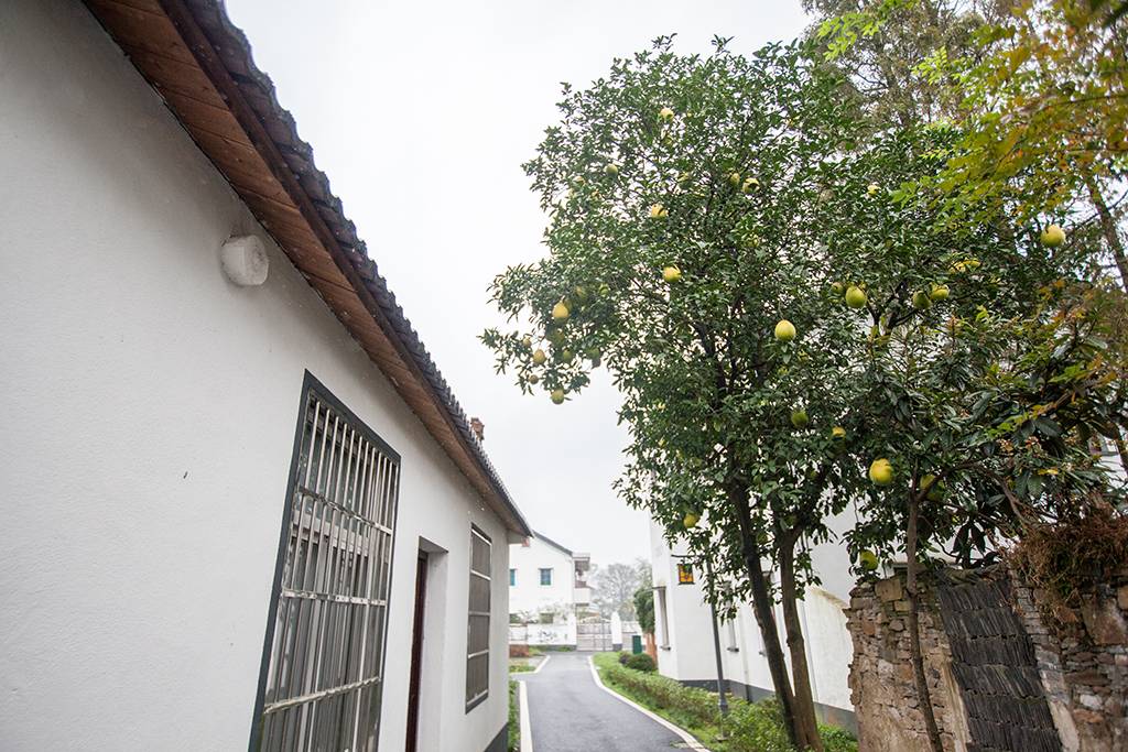 距离杭州仅30公里车程,距离杭州一小时车程的景点