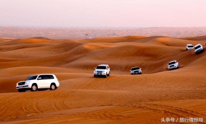 讲述迪拜的那些事与经历,了解迪拜不为人知的一面